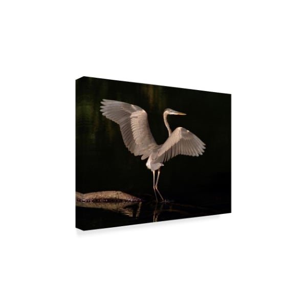J.D. Mcfarlan 'Big Bird Heron' Canvas Art,18x24